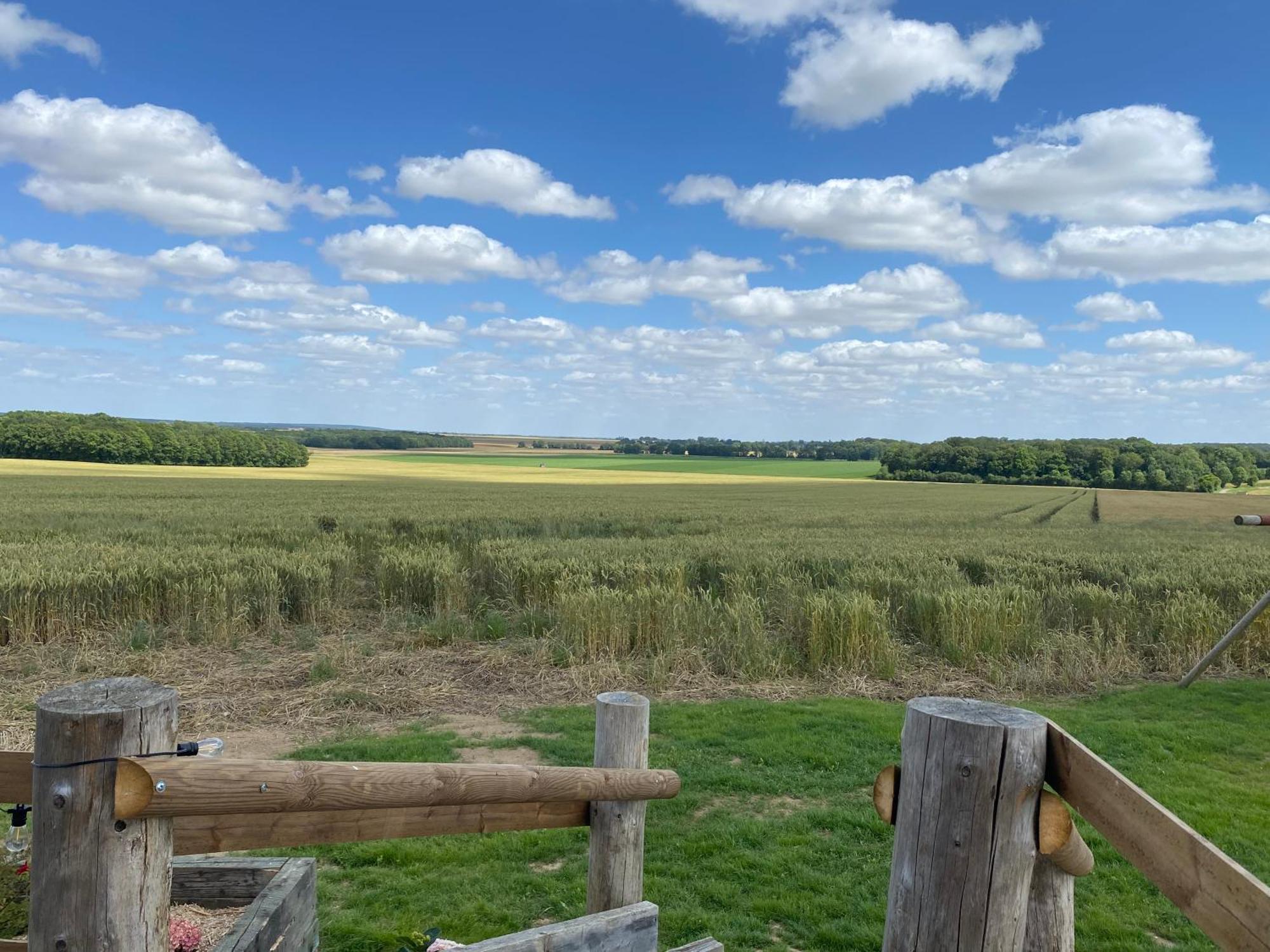 Tiny House Guest House Digny Exterior photo